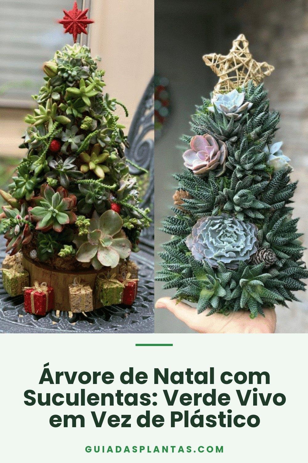 Árvore de Natal com Suculentas: Verde Vivo em Vez de Plástico