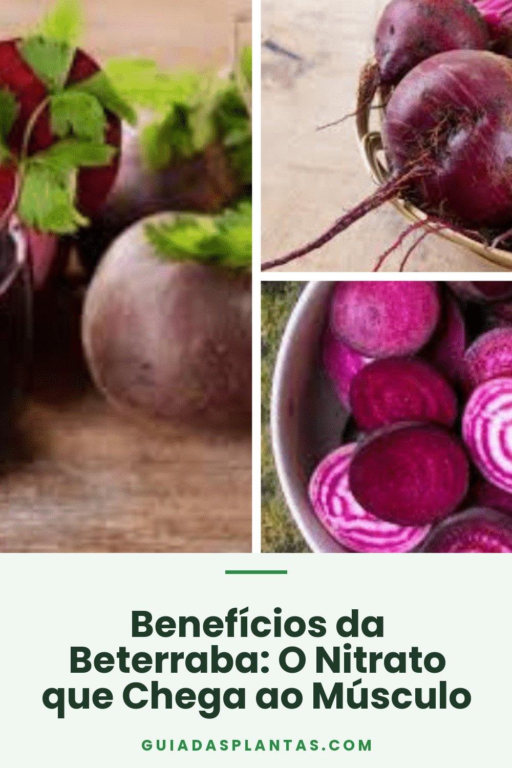 Benefícios da Beterraba: O Nitrato que Chega ao Músculo