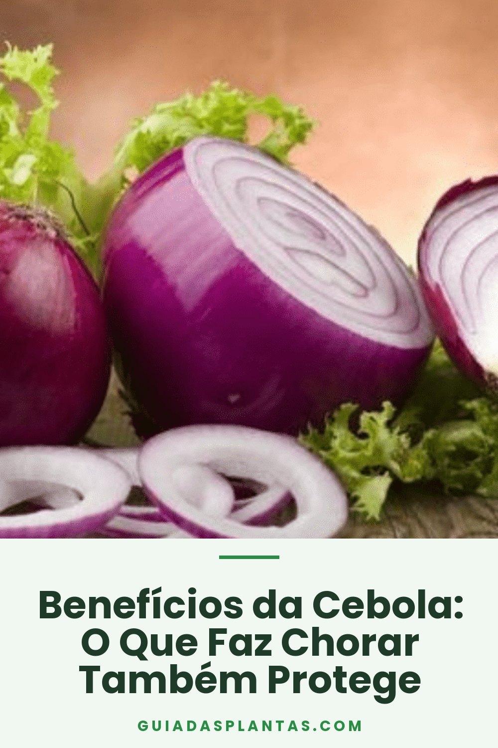 Benefícios da Cebola: O Que Faz Chorar Também Protege
