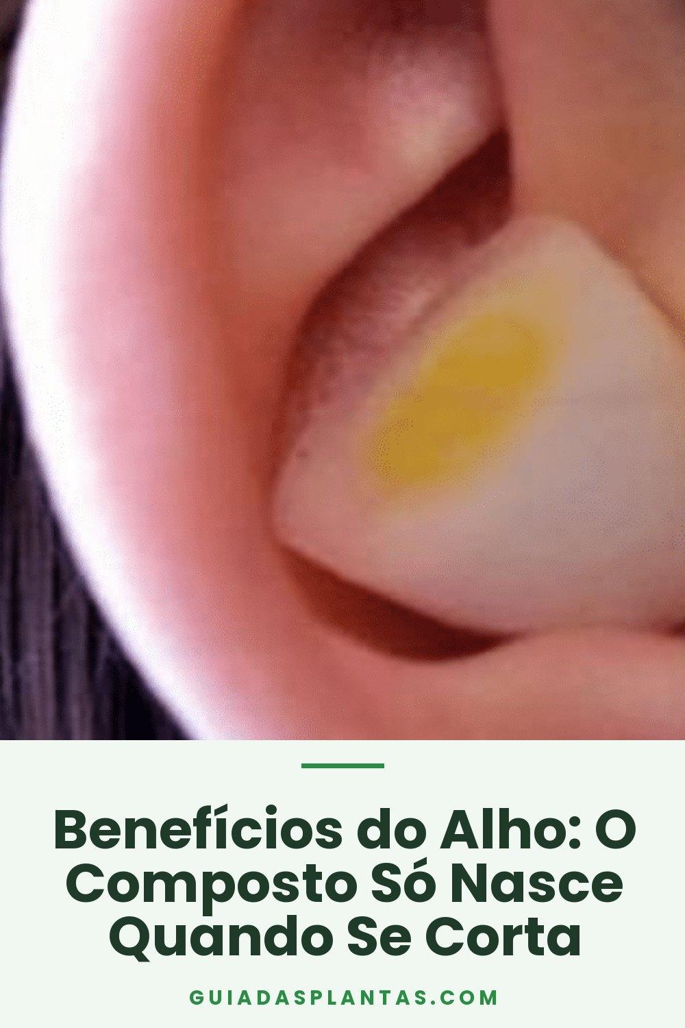 Benefícios do Alho: O Composto Só Nasce Quando Se Corta