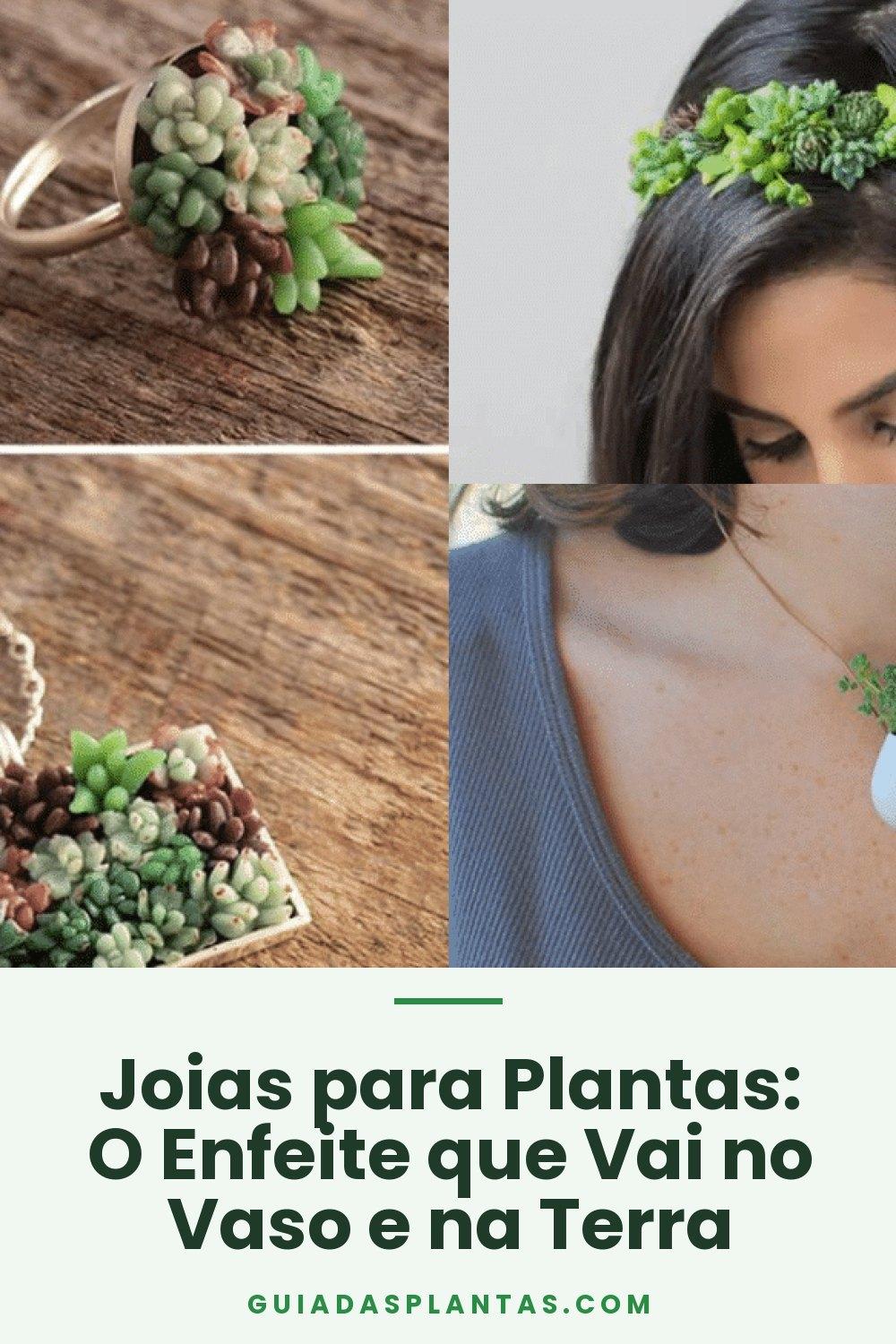 Joias para Plantas: O Enfeite que Vai no Vaso e na Terra