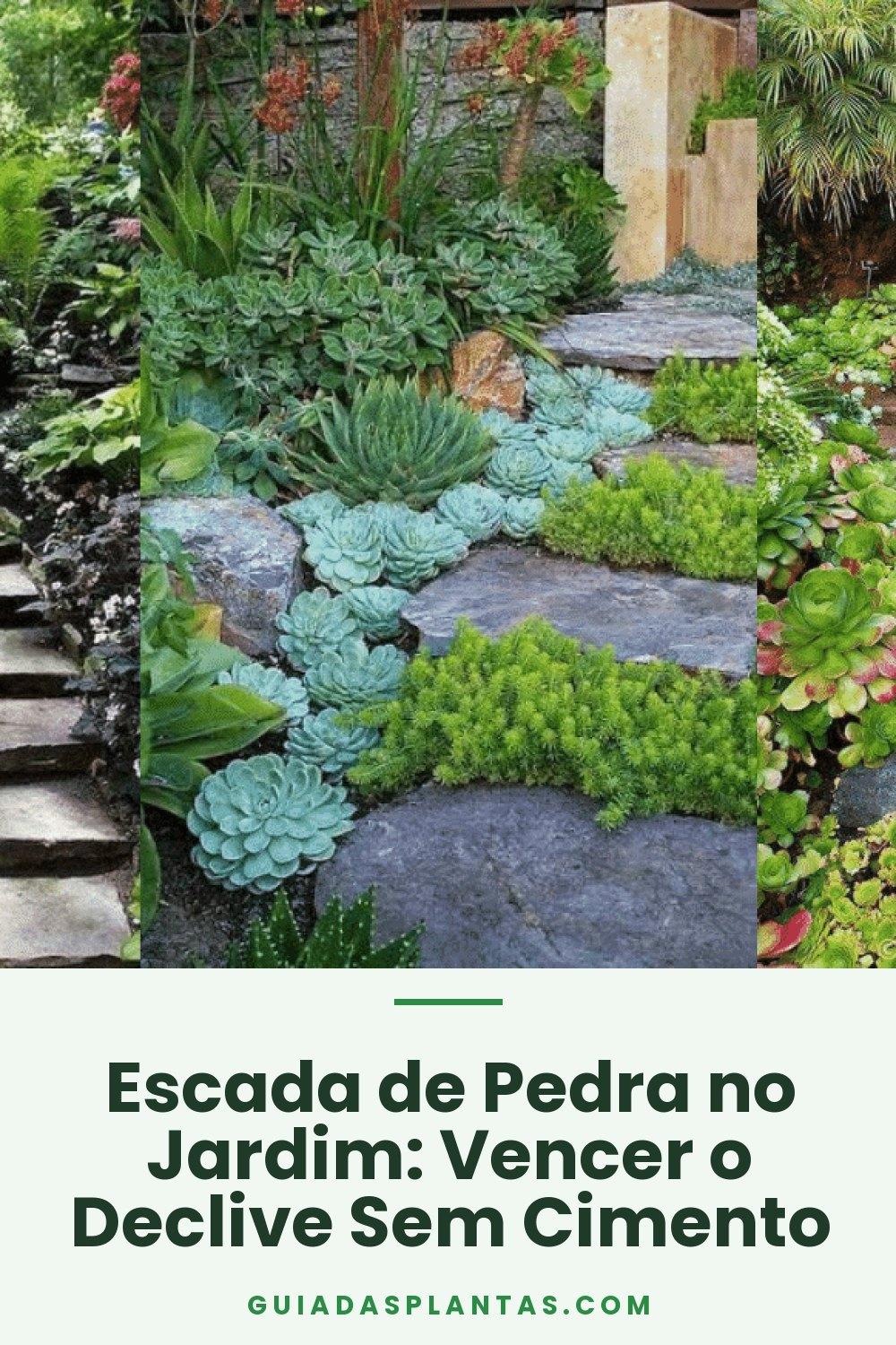 Escada de Pedra no Jardim: Vencer o Declive Sem Cimento
