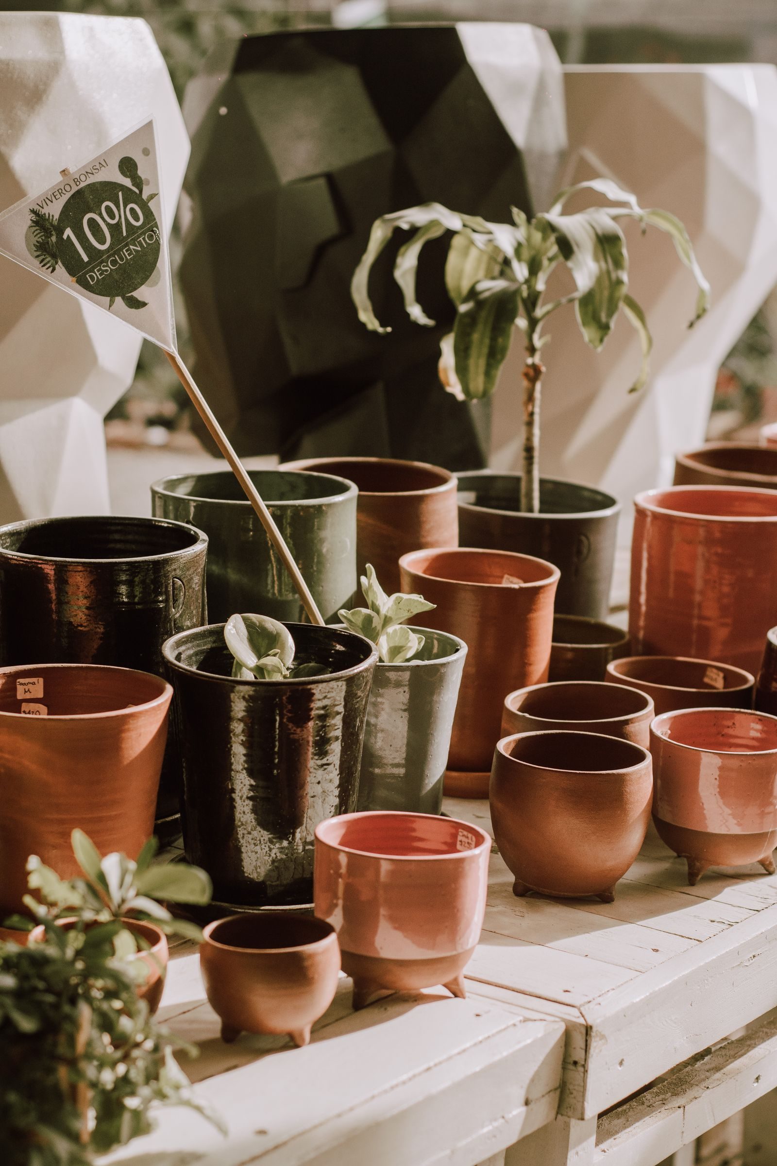 Vasos de diferentes tamanhos e materiais ao lado de uma janela