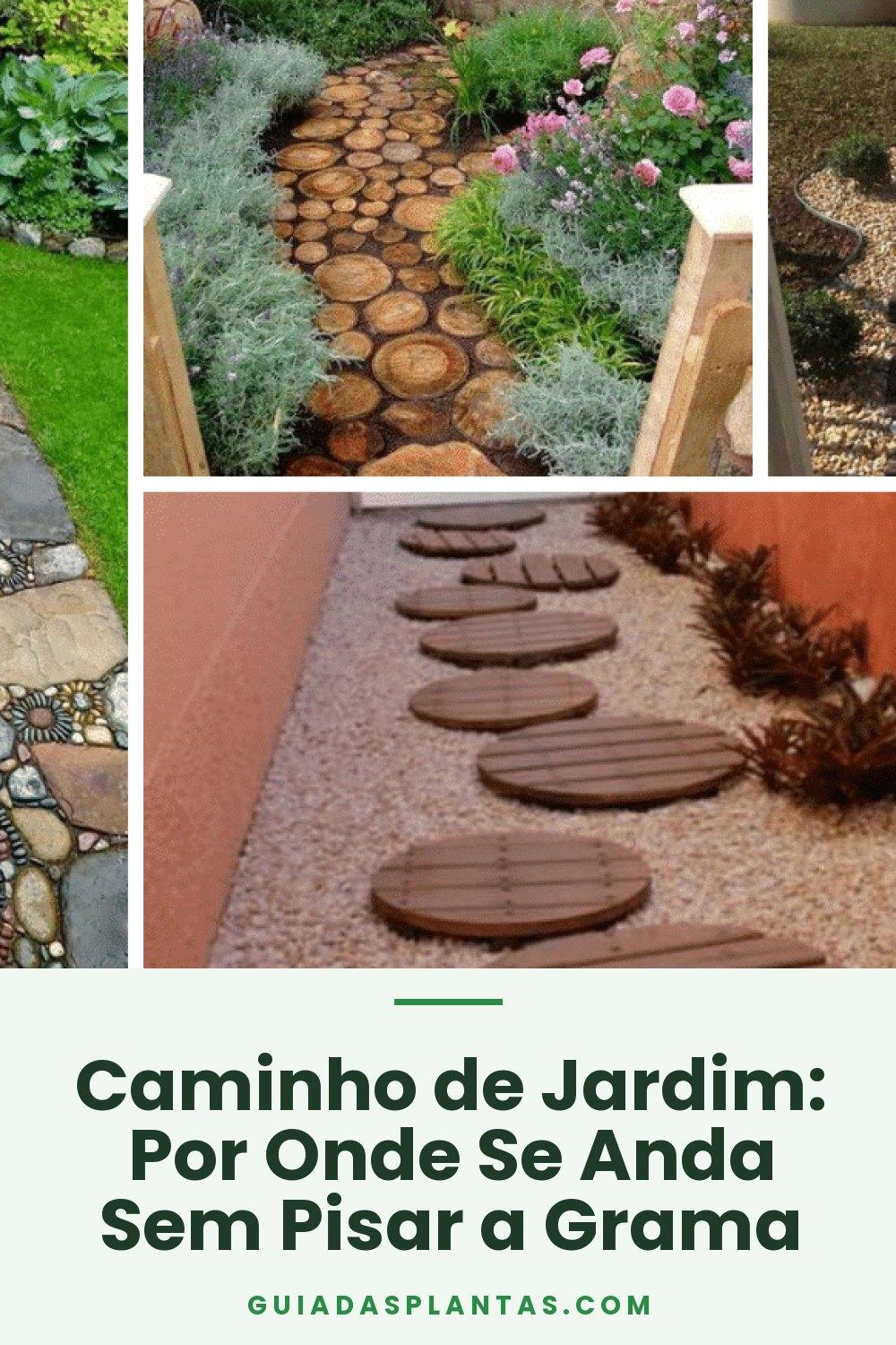 Caminho de Jardim: Por Onde Se Anda Sem Pisar a Grama