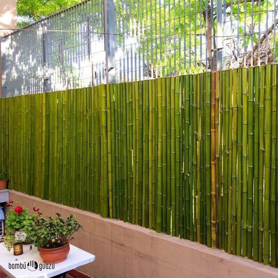 ideias de cercas de bambu 1