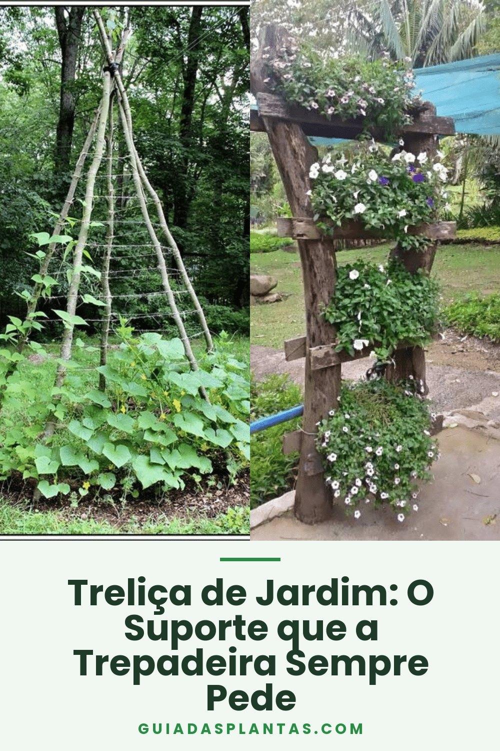 Treliça de Jardim: O Suporte que a Trepadeira Sempre Pede