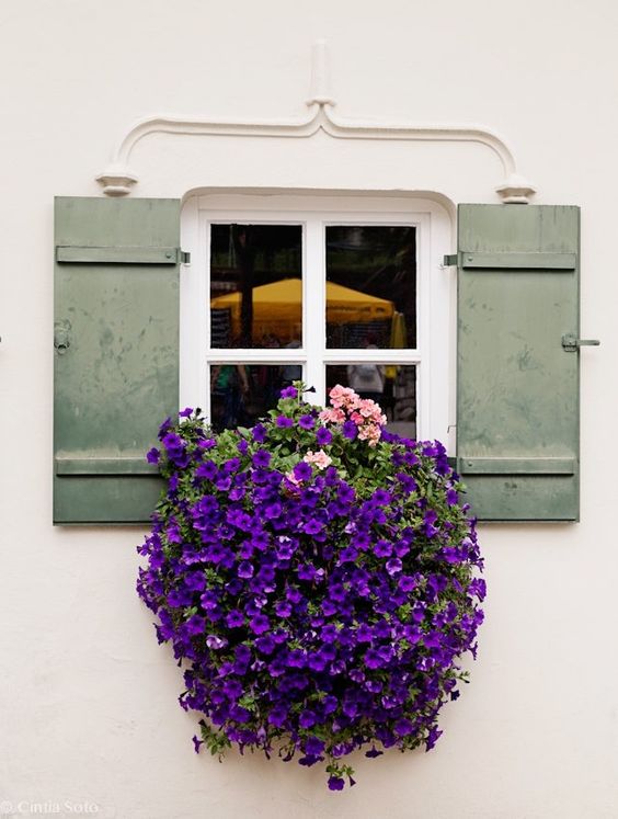 ideias janelas decoradas com flores 1