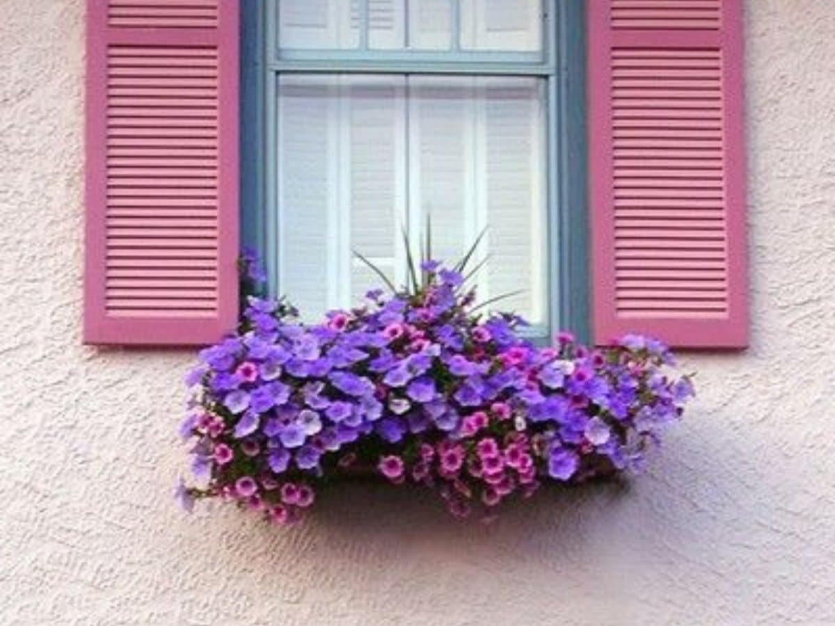 ideias janelas decoradas com flores 11