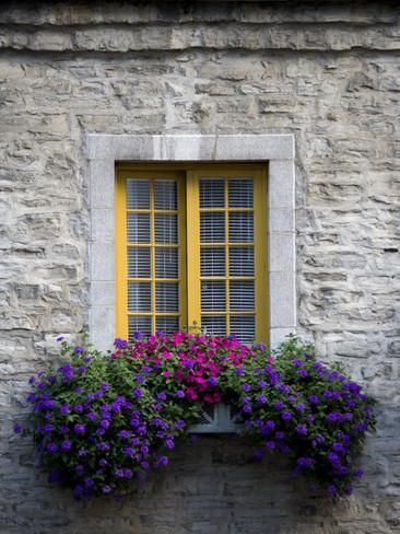 ideias janelas decoradas com flores 3