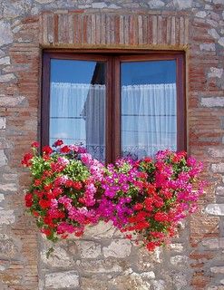 ideias janelas decoradas com flores 5