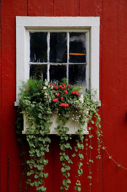 ideias janelas decoradas com flores 7