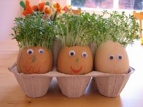 ideias para plantar em cascas de ovos 3
