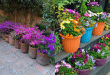 jardinagem em vasos