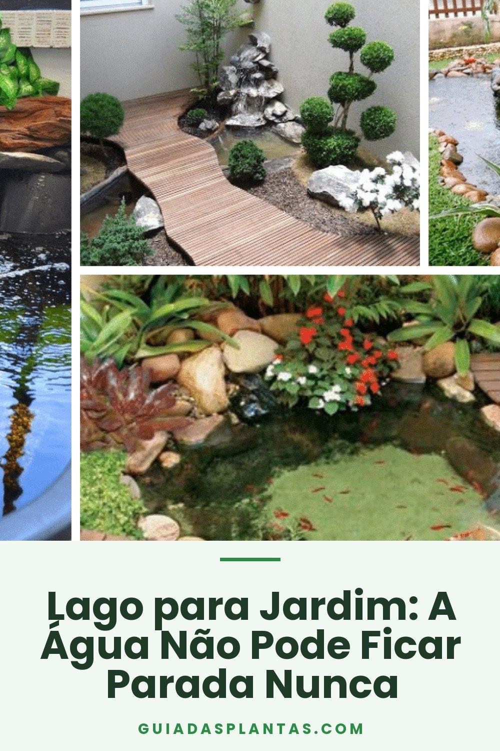 Lago para Jardim: A Água Não Pode Ficar Parada Nunca