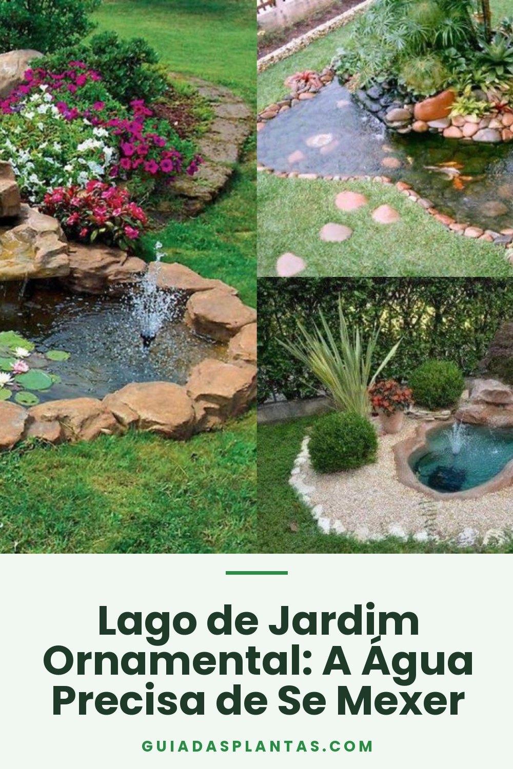 Lago de Jardim Ornamental: A Água Precisa de Se Mexer