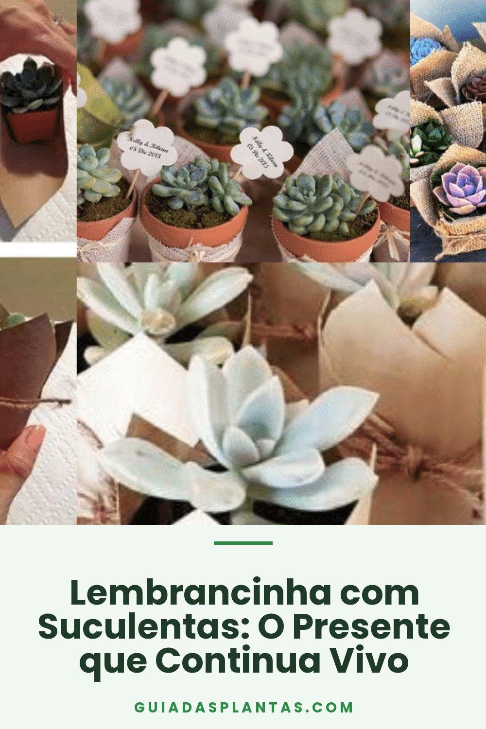 Lembrancinha com Suculentas: O Presente que Continua Vivo