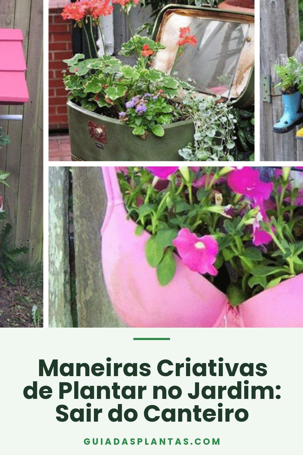 Maneiras Criativas de Plantar no Jardim: Sair do Canteiro
