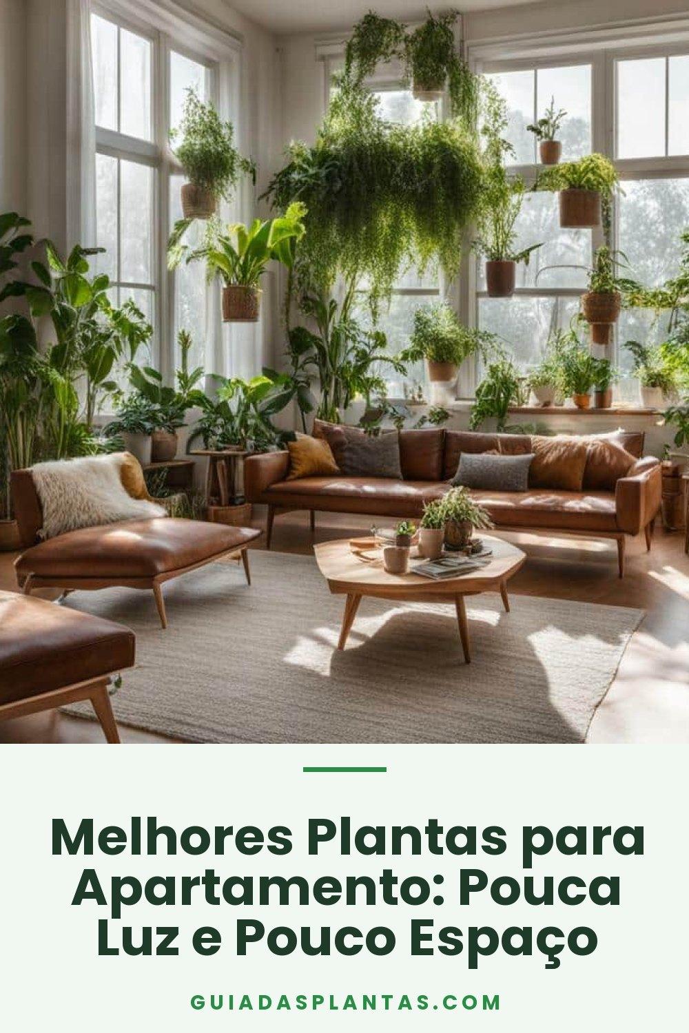 Melhores Plantas para Apartamento: Pouca Luz e Pouco Espaço