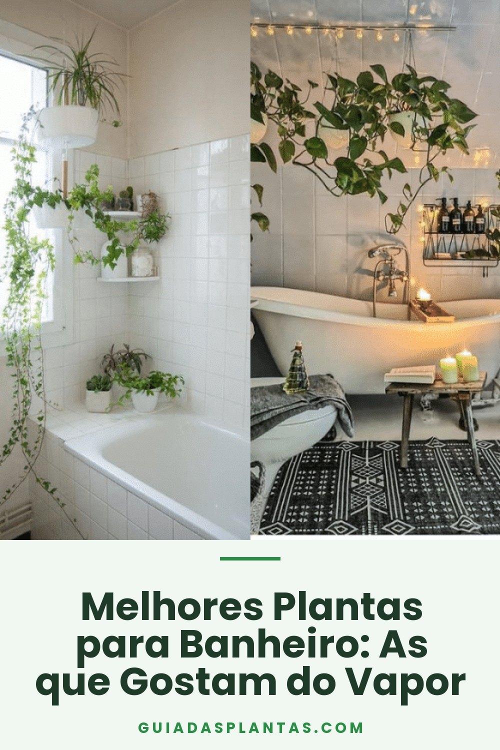 Melhores Plantas para Banheiro: As que Gostam do Vapor