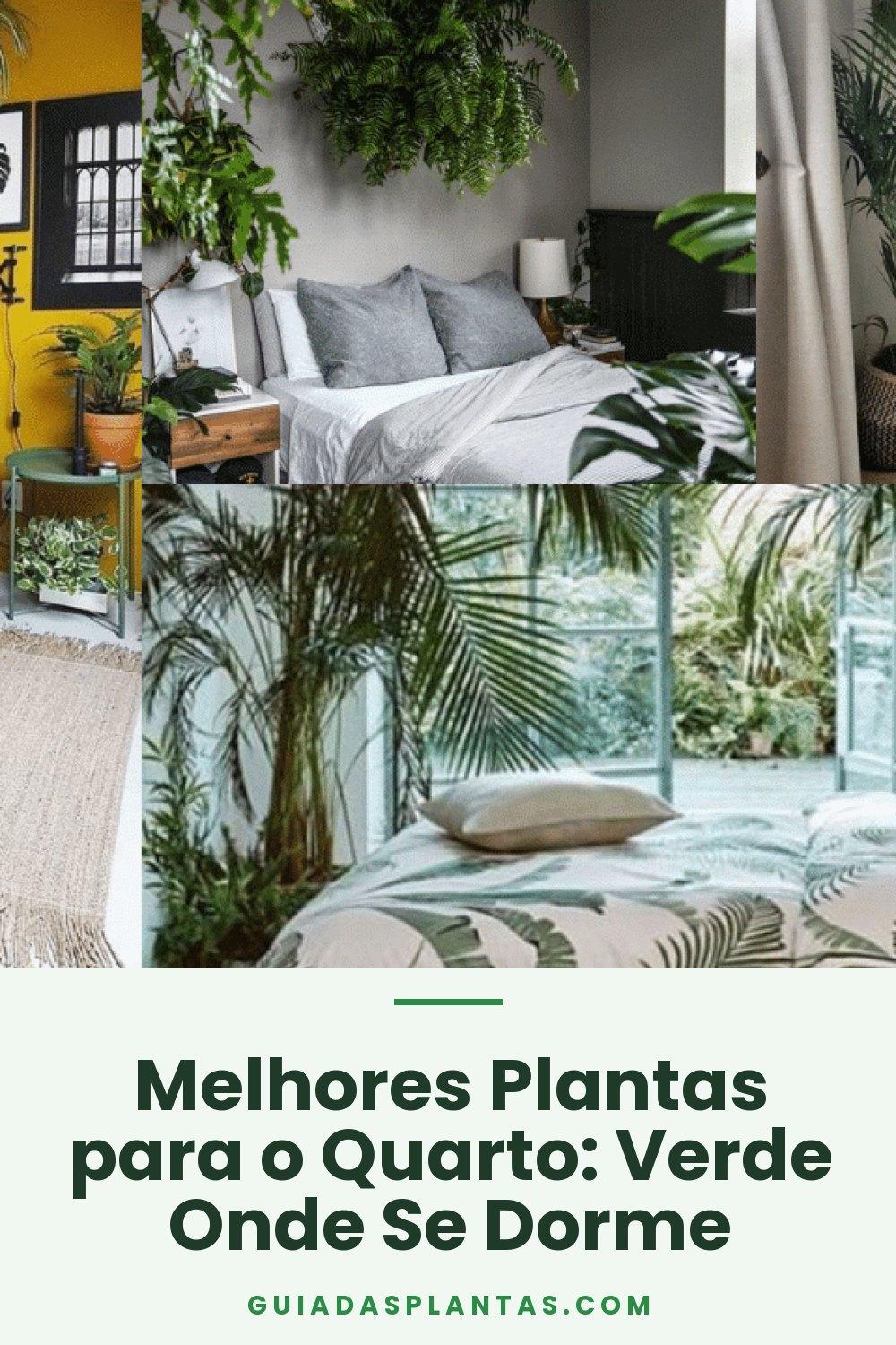 Melhores Plantas para o Quarto: Verde Onde Se Dorme