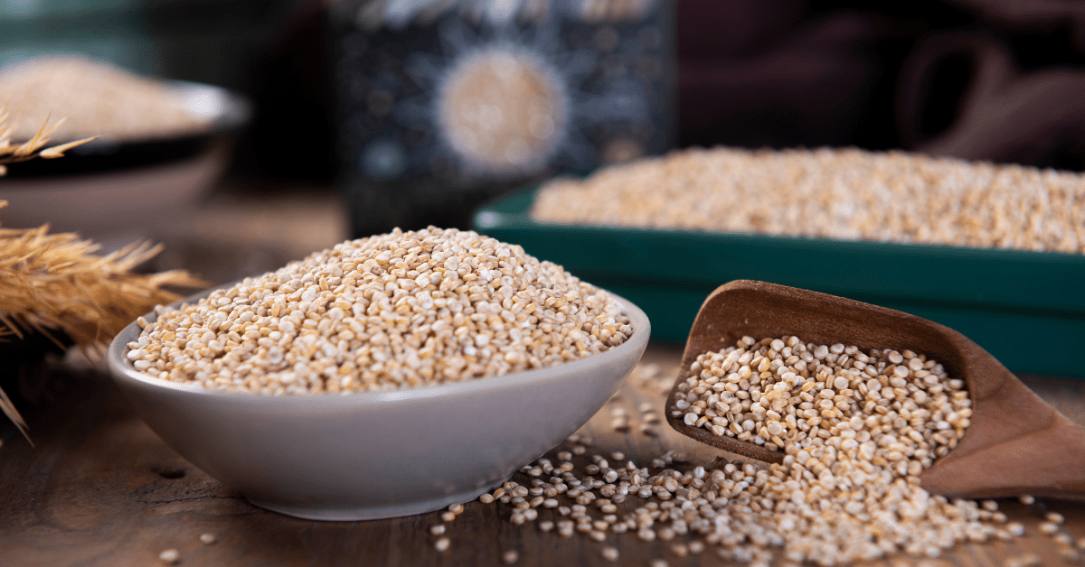 quinoa a melhor proteina