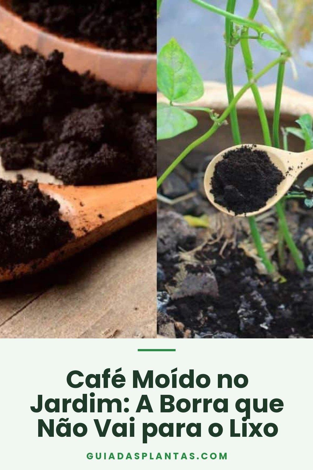 Café Moído no Jardim: A Borra que Não Vai para o Lixo