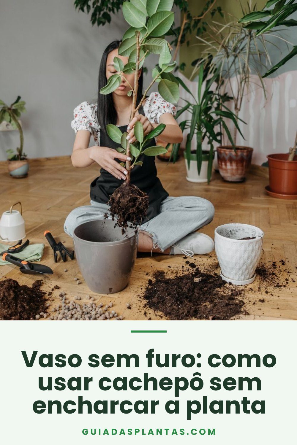 Vaso sem furo: como usar cachepô sem encharcar a planta