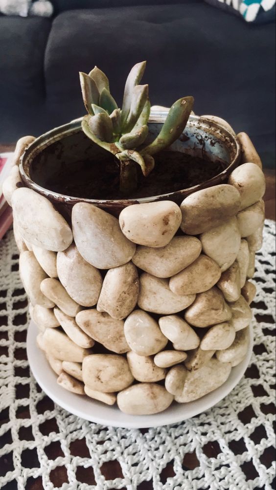 vasos de plantas com latas e pedras 3