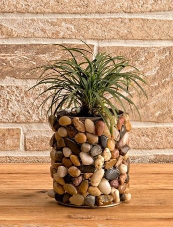 vasos de plantas com latas e pedras 9