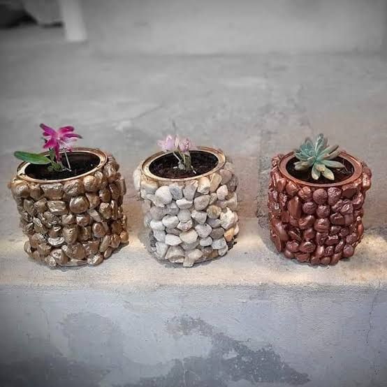 vasos de plantas com latas e pedras