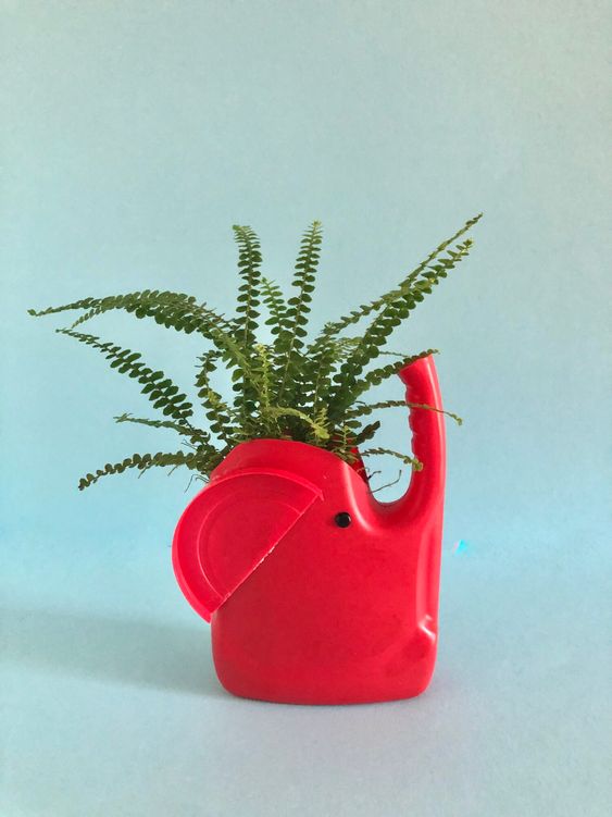 vasos de plantas feitos com garrafas de amaciador 9